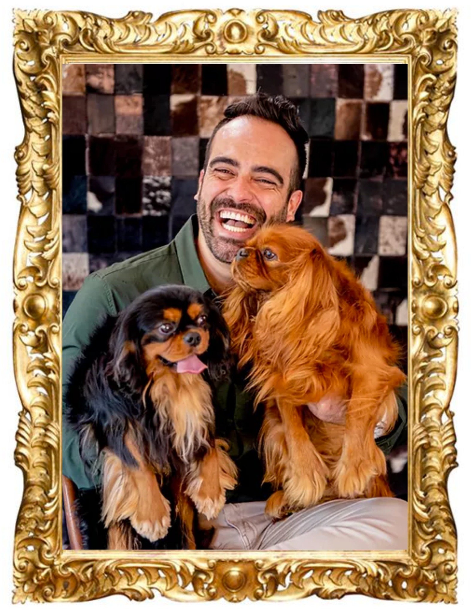 canil-comprar-filhotes-de-cavalier-king-charles-spaniel-lebrel-pequeno-gaugo
