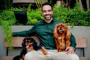 Filhotes de pequeno lebrel italiano e filhotes de Cavalier King Charles Spaniel